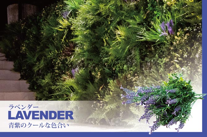 ラベンダー