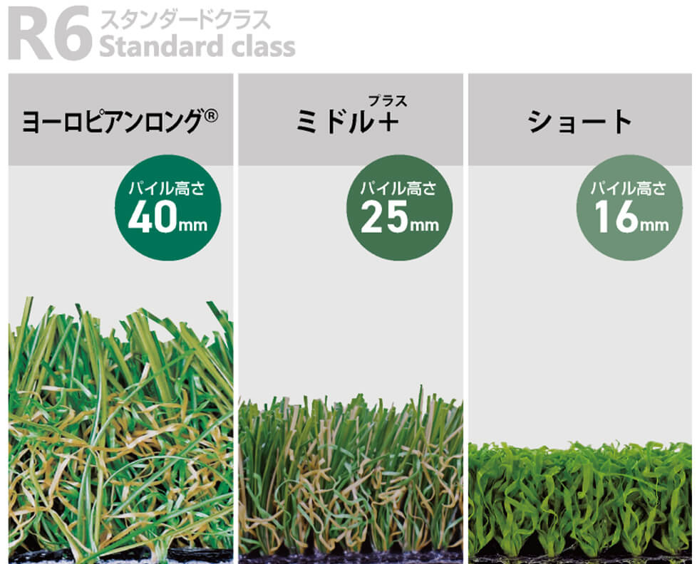 R6プレミアムクラス