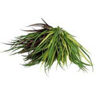 カラーボックス（グラッシーズ）