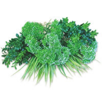 カラーボックス（ホワイトセット）