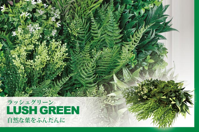 ラッシュグリーン
