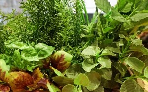 これでもう失敗しない！リアルなフェイクグリーンの選び方！