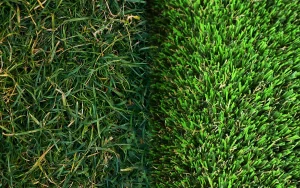 人工芝と天然芝の違い：どちらを選ぶべき？メリット・デメリットを解説します