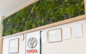 徹底解説！人工壁面緑化が人気の理由と施工事例(Before→After)