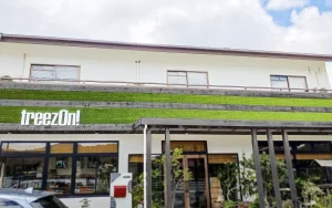 地面に敷くだけじゃない！人工芝を壁面に使用した施工事例