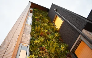 壁面緑化を住宅で成功させるデザインのコツ