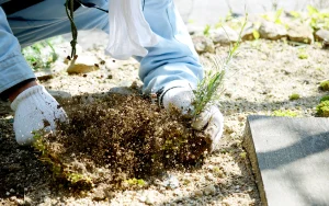 人工芝で解決！集会所・公民館の雑草対策「庭の手入れ」をラクにする方法