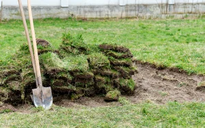 天然芝を人工芝にリフォームするメリットは？リフォームの流れも解説