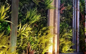 壁面緑化はライトアップを用いた演出もおすすめ。方法と魅力をご紹介