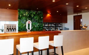 バーに緑を設けるなら人工壁面緑化をおすすめ！5つのメリットを紹介