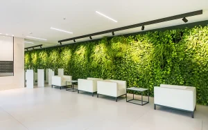 壁面緑化の失敗例からわかる、空間デザインを成功させる壁面緑化の使い方