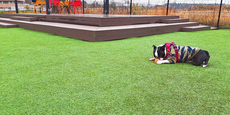 消臭機能でさわやかに