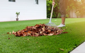 人工芝のメンテナンス完全ガイド｜初心者でも簡単に長持ちさせる3つのコツ