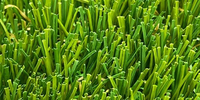 リアリーターフ®️