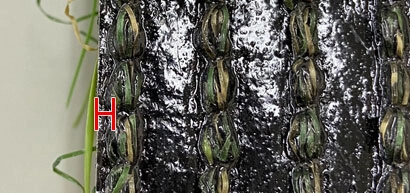 他社商品　横から見た基盤シート