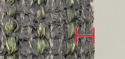 他社商品　横から見た基盤シート