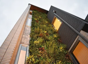 モデルハウス