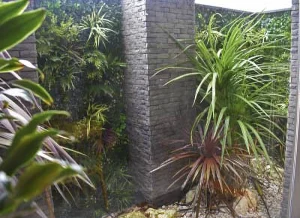 モデルハウス