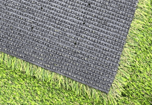 カビ抵抗性試験