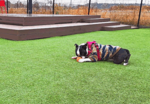 ガスの除去性能評価試験