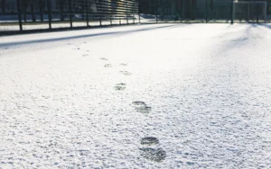 人工芝に雪が積もっても大丈夫？冬に強い人工芝の選び方とは