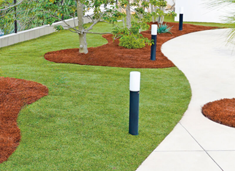 高機能人工芝 リアリーターフ®