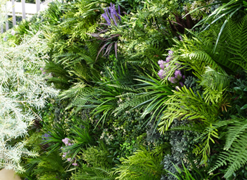 人工壁面緑化 ビスタフォリア®︎