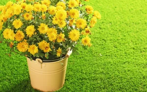 人工芝でつくる春の庭｜植え替えないガーデンデザイン