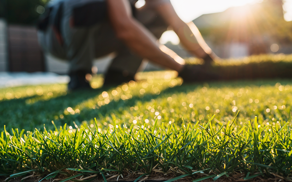 人工芝の景観を長く保つには?きれいな見た目を守る設置方法とメンテナンスのポイント