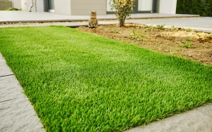 野良猫のフン・尿で庭が汚れるときは？人工芝で管理しやすい庭に整えるポイント